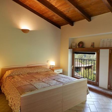 Agriturismo Ca' Del Ciuco Vezzano sul Crostolo Экстерьер фото